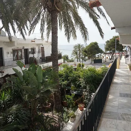Gaviota * موخاكار